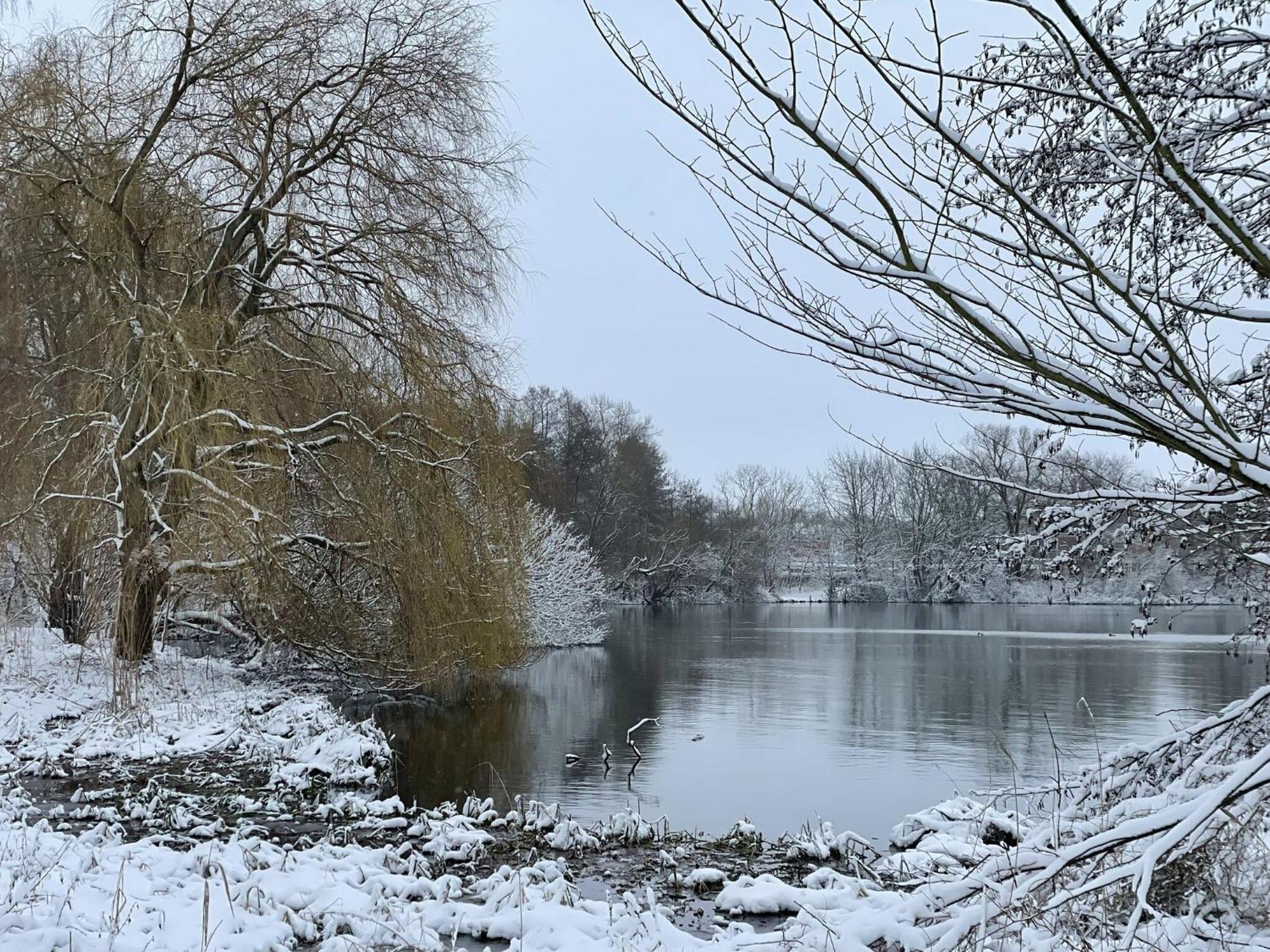 Flat In Eutin On The Kleiner Eutiner See Lake Extérieur photo